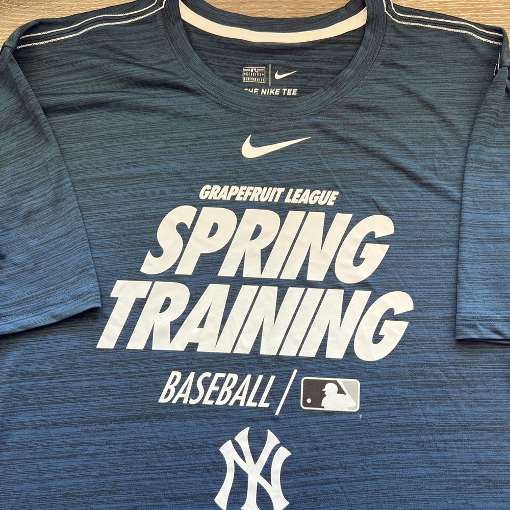New York Yankees Nike DriFit Grape Fruit League Spring Training T -shirt. NWT.